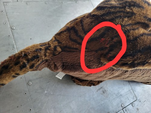 ✅️ 35 Zoll langes Plüschtier Stofftier Raubkatze Panther Leopard schwarz braun Costco  - Bild 8 von 13