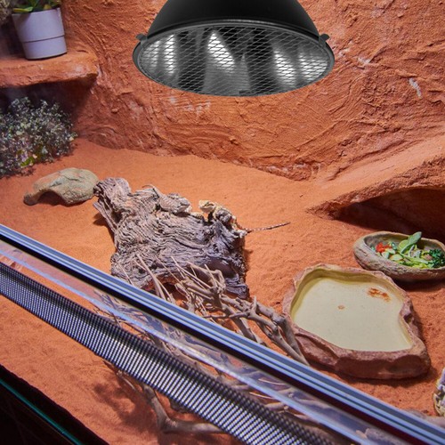 Reptile Tank Lamp Safety Cover Iron Mesh Cover Heat Lamp économies Guard for Reptile