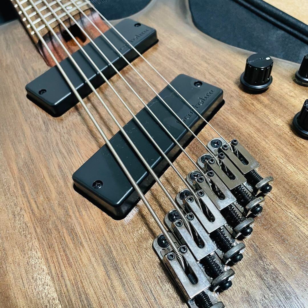 Ibanez SRC6MS 6-string electric bass | eBay