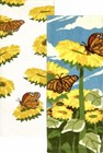 Foto 1 di 3