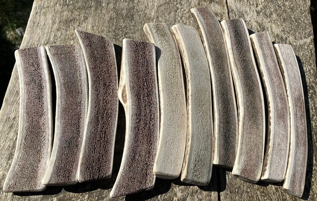 1pc Split Antler Dog Chews 100% Natural Scottish Wild Red Deer S M L XL+ 1pc Split Antler Dog Chews 100% Natural Scottish Wild Red Deer S M L XL+