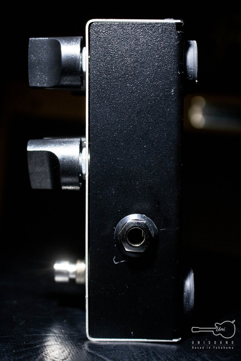 大注目 ENGL DELAY EP02 Series Pedal Custom エフェクター - uet.vnu