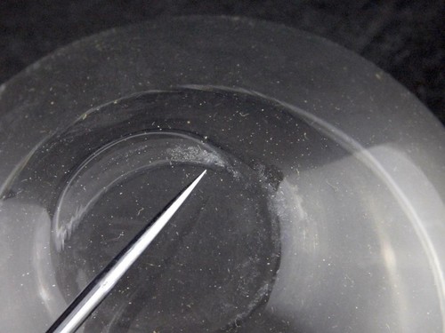 Mid-Century Modern Riekes Crisa Moderna Italian Punch Bowl 12 Cups and Ladle VG - Bild 11 von 12