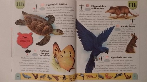 A-Z Dictionary of Extreme Animals, Bugs, Dinosaur or Endangered (Choice of 4) - 第 56/59 張圖片