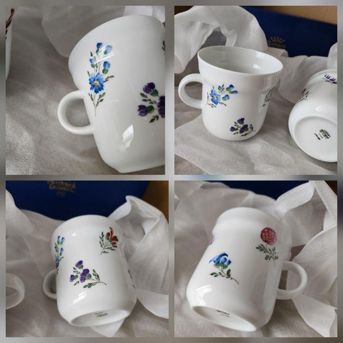 Richard Ginori Buongiorno Blume/Becher 2er Set Blumenmuster Made in Italy Neu - Bild 23 von 24