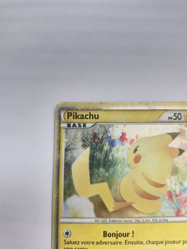Pikachu (French) PW7 Pikachu World Collection Promos Holo - Picture 6 of 11
