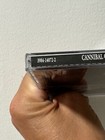 Foto 7 di 7
