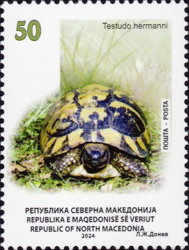 North Macedonia/2024/FDC and Set 4v/Animals/Turtles/Tortoise  - Picture 4 of 6