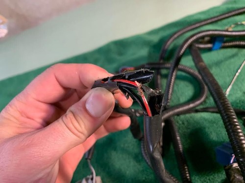 Genune Honda Acura Accessory Intersection Lights Cornering w/ relay & wiring - Picture 12 of 15