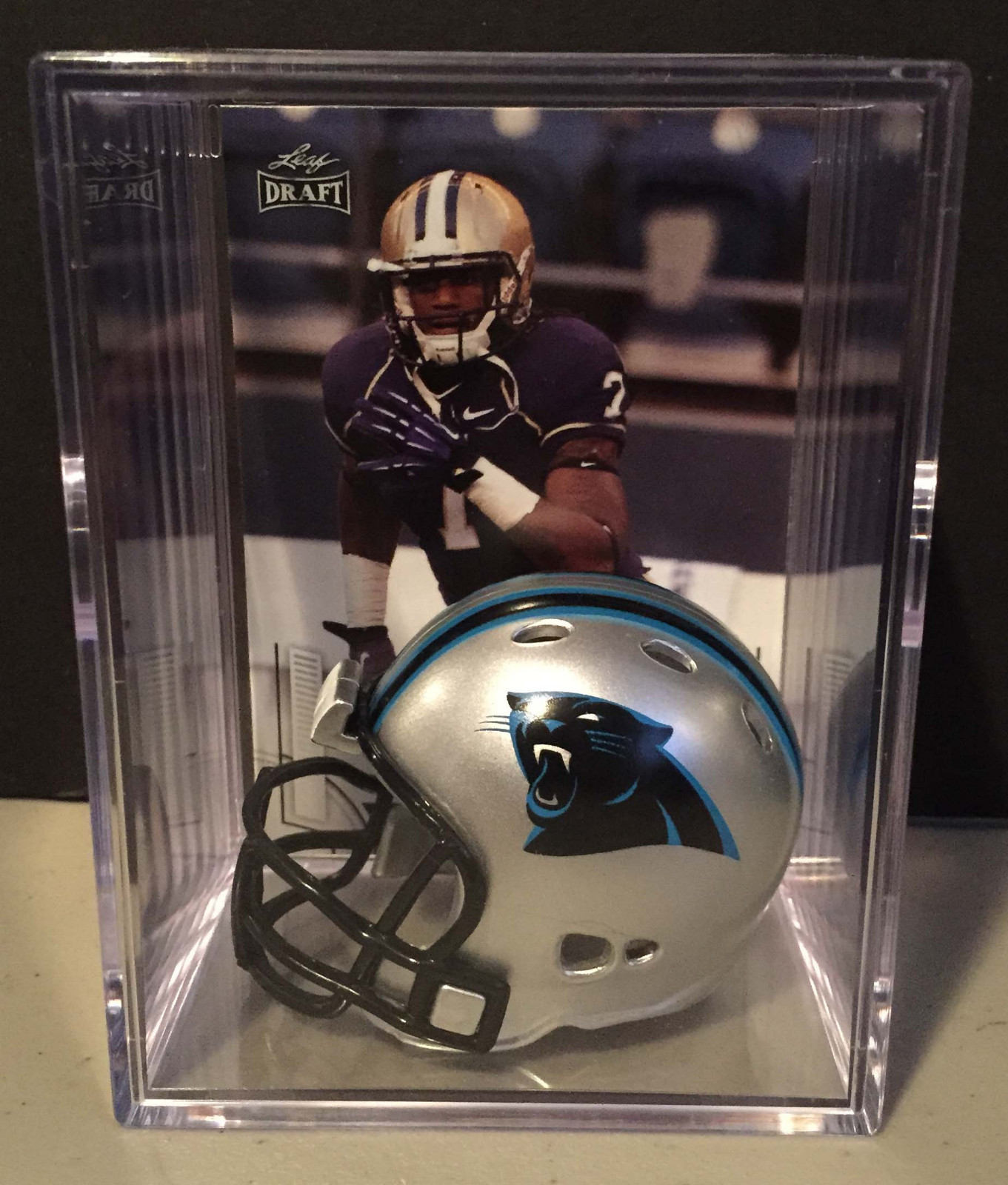 CAROLINA PANTHERS NFL Players Mini Helmet Shadowbox w/ card - Picture 4 of 14