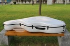 Foto 7 di 10
