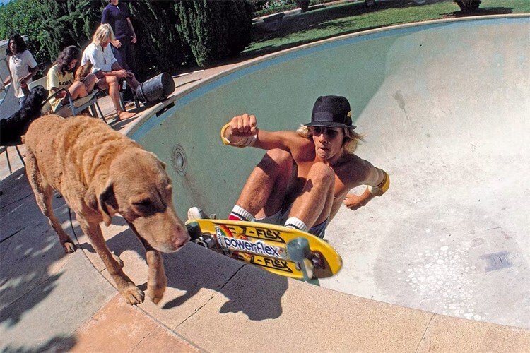 Z-Flex Skateboard, Jay Adams, Tony Alva, Dogtown, Z-boys Z-Flex Skateboard, Jay Adams, Tony Alva, Dogtown, Z-boys