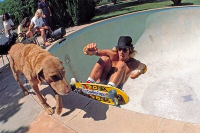 Z-Flex Skateboard, Jay Adams, Tony Alva, Dogtown, Z-boys Z-Flex Skateboard, Jay Adams, Tony Alva, Dogtown, Z-boys