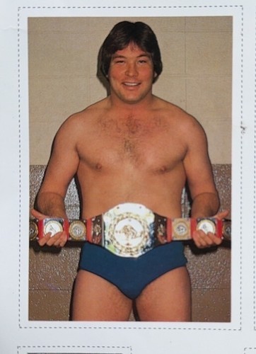 Hulk Hogan Ted DiBiase 1982 Gong Magazine Wrestling Card - Picture 2 of 8