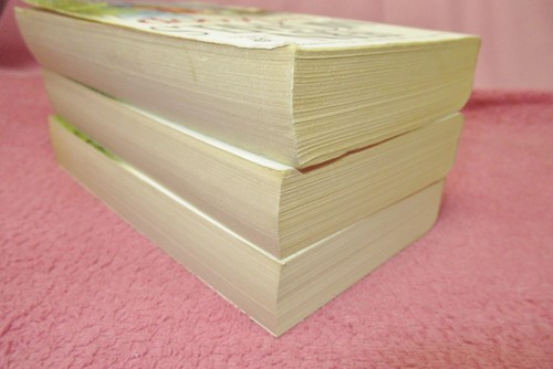 FERN MICHAELS Build-A-Lot - The Sisterhood + Men Of The Sisterhood +Godmothers+ - Foto 321 di 429