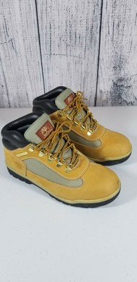 timberland swamps