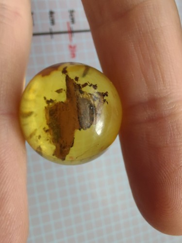 100% Natural Amber Ball Bead Sphere 22.5 mm - Picture 15 of 21