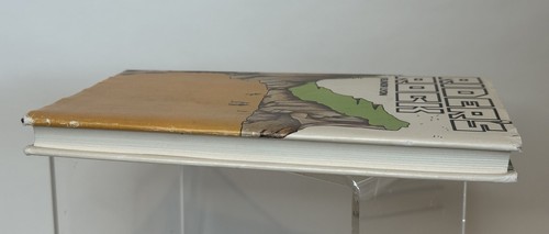 Rider’s Rock by Elinor Lyon 1974 Hardcover - Picture 13 of 14