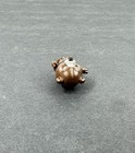 Picture 5 of 6