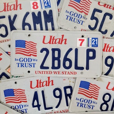 License Plate 1 Utah United We Stand American Flag In God We Trust Random UT Tag