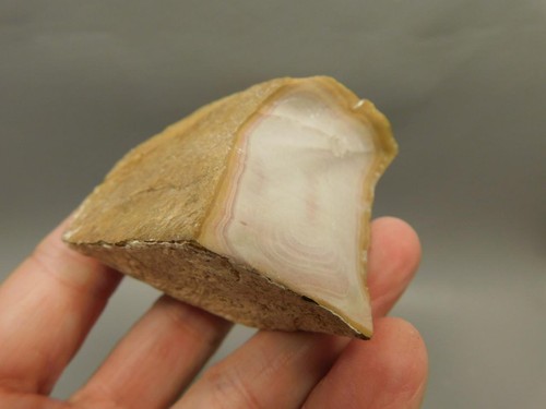 Wonderstone riolita roca pulida Utah #O10 - Imagen 8 de 9