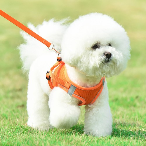 Haustier Hundegeschirr mit Leine Set Reise No-Pull Geschirr Set Reflektierend Klein Hund - Bild 31 von 40