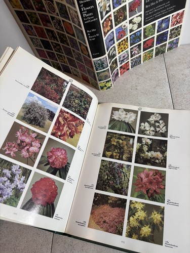 The Color Dictionary Of Flowers & Plants For Homes & Gardens Detailed And Images - Picture 17 of 18
