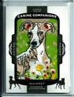 2018 Upper Deck Goodwin Champions Canine Companions Cc-160 Whippet