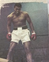 Muhammad Ali 3 Xl T Shirt Gray Muhammad Ali 3 Xl T Shirt Gray