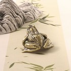 Intricately Designed Antique Brass Frog Ornament for Creative Displays