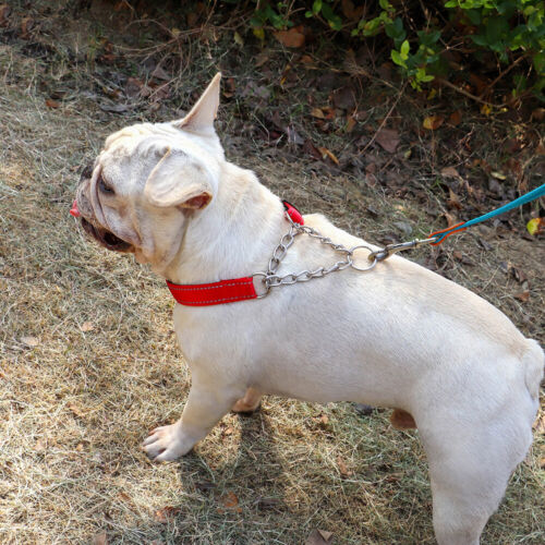 Cuello reflectante de perro martingala nailon medio cheque cadena de estrangulamiento entrenamiento bulldog - Imagen 12 de 20