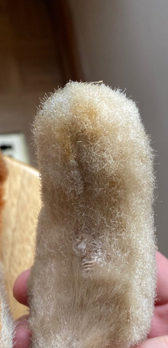 Vintage-Stuffed Animal Plush Dog w/ Yarn Nose and Felt Tongue-No Collar or Tag - Picture 6 of 6