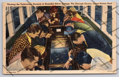 Vintage Postcard Viewing Underwater Silver Springs Florida glass bottom boat