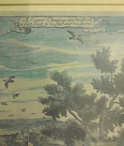 Richard Blome Engraving Framed Matted 'A Keeper Chaseing out of the Heard..." - Picture 3 of 6