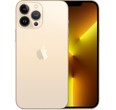 iPhone 13 Pro Max With TikTok 