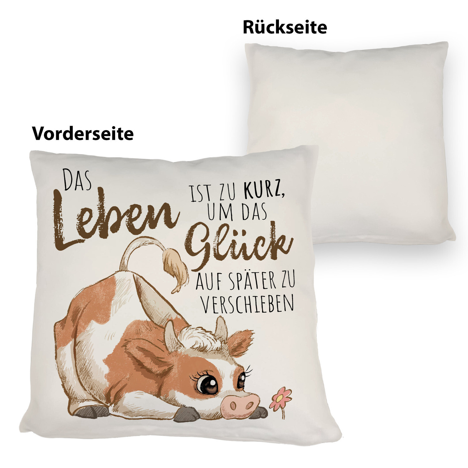 Bild 3 von 40