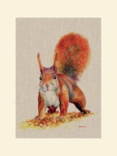 Jane Bannon Art Unframed Mounted Prints Range Animal Pictures 37 Different 