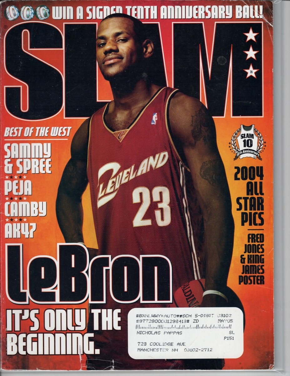 2004 lebron