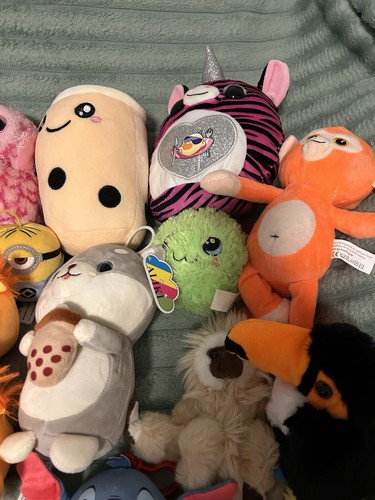 36 Plüschtiere Kuscheltiere Snackles Squishmallows Konvolut Sammlung Mini Micky - Bild 6 von 7