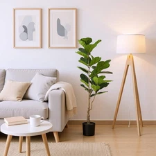 Ficus Faux Fiddle Leaf Fig Tree