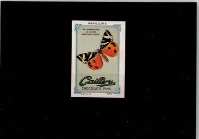 52000204 - Schmetterling