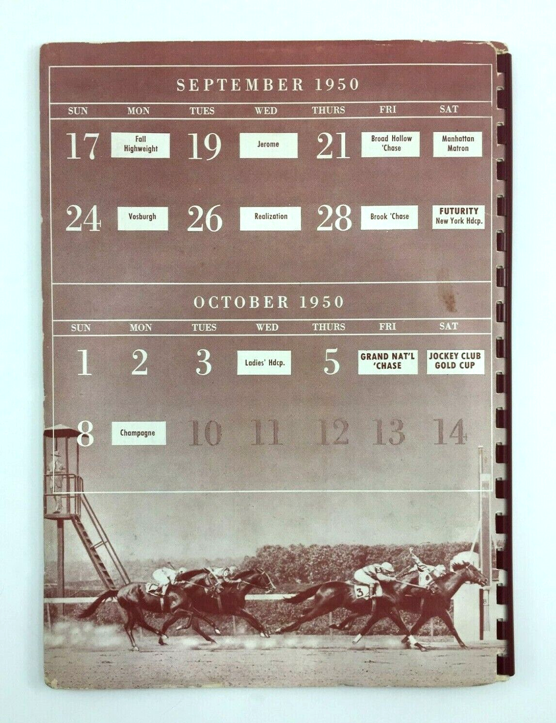Imagen 12 de 12