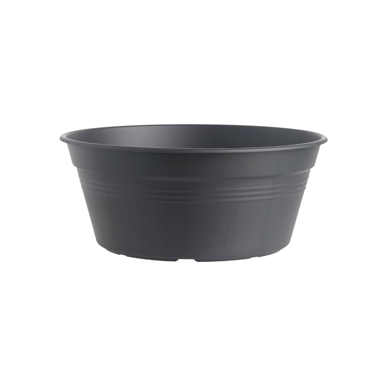 Planta en Florero Para Bulbos Verde Basics Bowl 27CM Living Negro ELHO