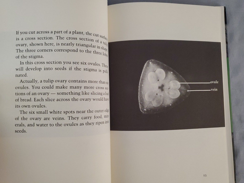 Plants Up Close by Joan Elma Rahn - Hardcover - Imagen 8 de 9