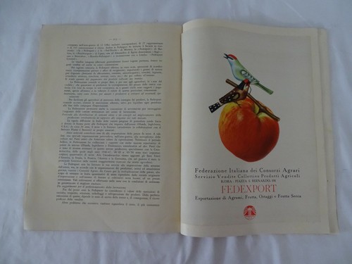 4155 - LIBRO TERZO CONGRESSO NAZIONALE DI FRUTTICOLTURA FERRARA 1949 - Picture 6 of 9