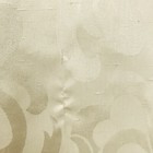 Bild 8 von 12
