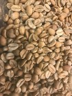 green coffee beans 5 pounds Ethiopia Wush Wush