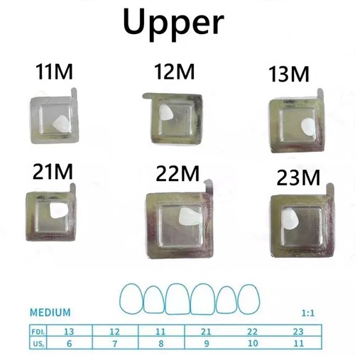 Impiallacciatura denti anteriori in porcellana composita dentale 30 dimensioni resina cura leggera - Foto 13 di 21