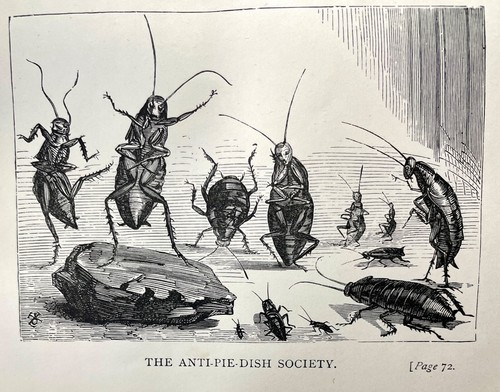 SELTEN 1890 VIKTORIANISCHE MÄRCHEN FANTASY ELFE GOBLIN FAE ~ ERSTAUSGABE FAST GUT - Bild 5 von 13