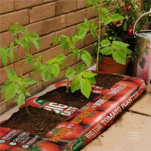 GROW BAGS FRUIT VEGETABLE TOMATO TOMATOES PLANTER PEAT FREE LEVINGTON COMPOST - Picture 55 of 63